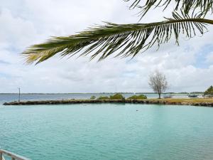 Photo de la galerie de l'établissement Charming cozy beachfront studio with parking and wifi, à Bora Bora