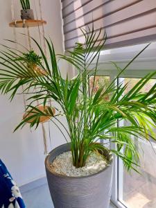 Gallery image of Peace and Harmony welcome you! in San Miguel +54 photos