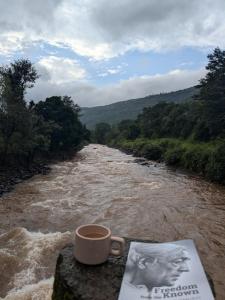 a cup of coffee sitting on a rock next to a river at CharDara Agrotourism & FarmStay in Mahabaleshwar