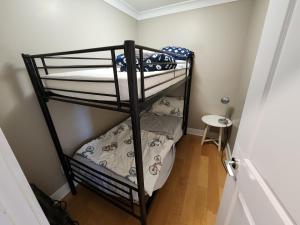 a couple of bunk beds in a small room at Burnaby 4 bed 3 bath duplex in Burnaby