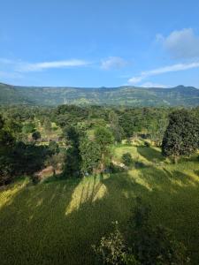 an overhead view of a lush green field with trees at CharDara Agrotourism & FarmStay in Mahabaleshwar