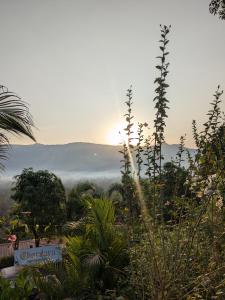 a view of the sun rising over the fog in a garden at CharDara Agrotourism & FarmStay in Mahabaleshwar