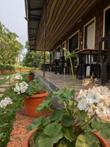 a group of potted plants sitting outside of a building at CharDara Agrotourism & FarmStay in Mahabaleshwar