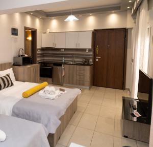 a large room with two beds and a kitchen at Xenia_Apartments A7 in Kozani