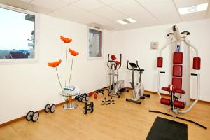 einen Fitnessraum mit Kardiogeräten in einem Zimmer in der Unterkunft Séjours & Affaires Genève Saint Genis in Saint-Genis-Pouilly
