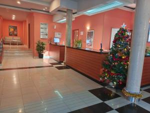 a christmas tree in the lobby of a hospital at Lugomar-Feijoo in Alpedrete