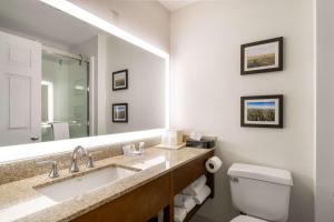 Et badeværelse på Comfort Inn Great Falls South