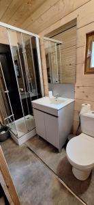 a bathroom with a toilet and a sink and a shower at les cabanes du tertre in Cour-Cheverny +91 photos