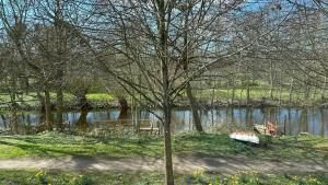 una piccola barca seduta sul lato di un fiume di Großes Grachtenhaus - Simmerdeis an der Gracht a Friedrichstadt