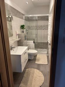 a bathroom with a toilet and a sink and a shower at Oaza Spokoju in Augustów