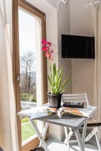 a table with a plant on it next to a window at Lavanda e Rosmarino in Miasino