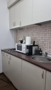 a kitchen counter with a microwave and a sink at Studio Rendez-vous Alba Iulia in Bucharest