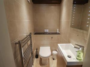 une petite salle de bain avec toilettes et lavabo dans l'établissement Weathervane Cottage, à Monkton 25 autres photos