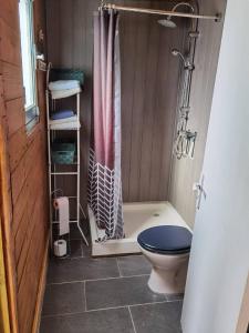 ein Bad mit einem WC und einer Dusche mit einem Vorhang in der Unterkunft Tiny house-chalet à l'étang in Champsac