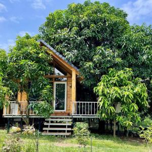 a cabin in a tree with a porch at The Lake House Retreat & Watersports in Tân Phú +33 photos