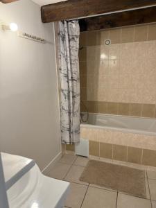 Koupelna v ubytování OULLINS T3 COSY 70M2 - 6 Pers 2 Chambre - 2 Mezzanines Métro & centre à Pied + 37 fotografií