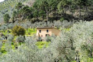Paesaggio naturale nelle vicinanze della casa vacanze