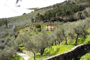 Paesaggio naturale nelle vicinanze della casa vacanze