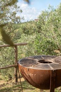 Foto dalla galleria di Podere del Pari a Calci