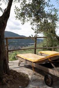 Paesaggio naturale nelle vicinanze della casa vacanze