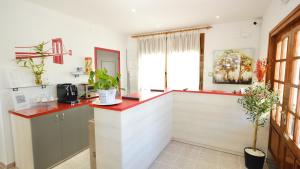 a kitchen with a counter with plants on it at Hotel Paradís in Torredembarra