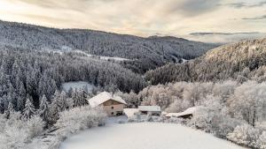 Príroda v okolí apartmánu