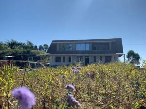 a house on a hill with a field of flowers at The Nest Farmhouse in Sāmthar