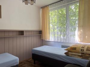 a bedroom with two beds and a window at LubSol Lubniewice in Lubniewice