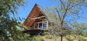 a house on top of a hill with trees at Shamba Pori Lodge in Idulo +13 photos
