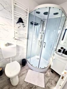 a bathroom with a shower and a toilet at Vila Suveranii in Braşov +100 photos