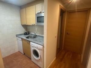 a kitchen with a washing machine and a sink at Winahost Apartamento Temporal Esterri d'Àneu in Esterri d'Àneu
