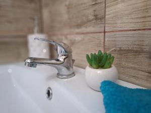 a bathroom sink with a plant in a vase on it at Kökénykuckó in Szeged +9 photos