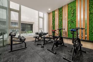 Fitness centrum a/nebo fitness zařízení v ubytování ELC Da Nang Hotel