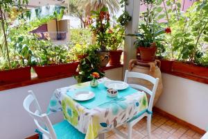 A garden outside Hotel Donna Rosa