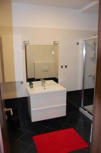 een badkamer met een wastafel, een spiegel en een rood tapijt bij Apartment Spanjol in Banjol