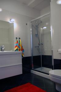 Banjol的住宿－Apartment Spanjol，带淋浴、盥洗盆和卫生间的浴室