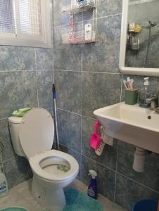 une salle de bain avec toilettes et lavabo dans l'établissement La casa de Luda, à San Vicente del Raspeig