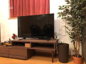 TV a/nebo společenská místnost v ubytování Alphabed松山城西