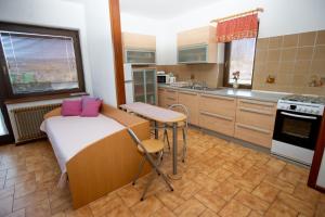 Kuchyň nebo kuchyňský kout v ubytování Guesthouse Sanabor