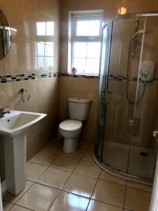 a bathroom with a toilet and a shower and a sink at Bayview Lodge in Monargan Glebe