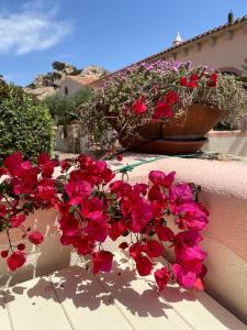 Φωτογραφία από το άλμπουμ του Capo d Orso - Borgo dell Orso - Casa vacanze σε Proiettore