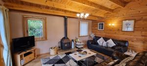 a living room with a couch and a stove at Elite Retreats 4U Lakeside Hot Tub Log Cabin at Tattershall Lakes Park in Tattershall