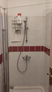 ナントにあるChambre - Studette Indépendante Zolaのシャワーヘッド付きの浴室のシャワー