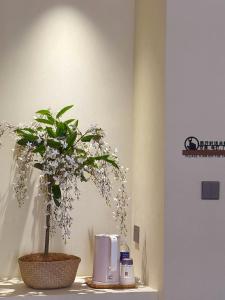 Nuotrauka iš apgyvendinimo įstaigos Luyu Shijian B&B mieste Lidziangas galerijos