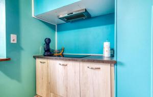 una cucina con lavandino e parete blu di 1 Bedroom Stunning Home In Jumilhac-Le Grand a Jumilhac-le-Grand Altre 12 foto