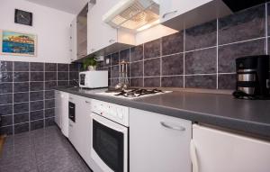 Kuchyň nebo kuchyňský kout v ubytování Apartments Tresan