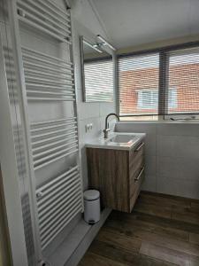 a bathroom with a sink and a mirror at Kustverhuur, Park Scheldeveste Zwin 015, met grote omheinde tuin in Breskens