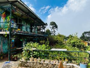 En have udenfor The Kodai Heaven