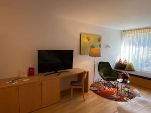 TV a/nebo společenská místnost v ubytování Bio-Hotel Saladina