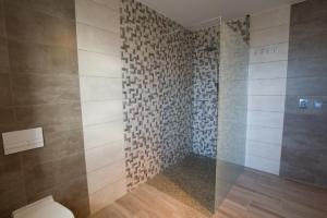 a bathroom with a toilet and a glass shower at Kašperská chalupa in Kašperské Hory +82 photos